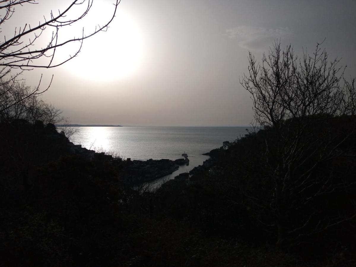 Appartamento West Looe Downs Esterno foto